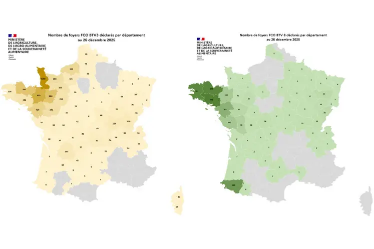  Cartes des foyers de FCO3 et FCO8 au 26 décembre 2025.