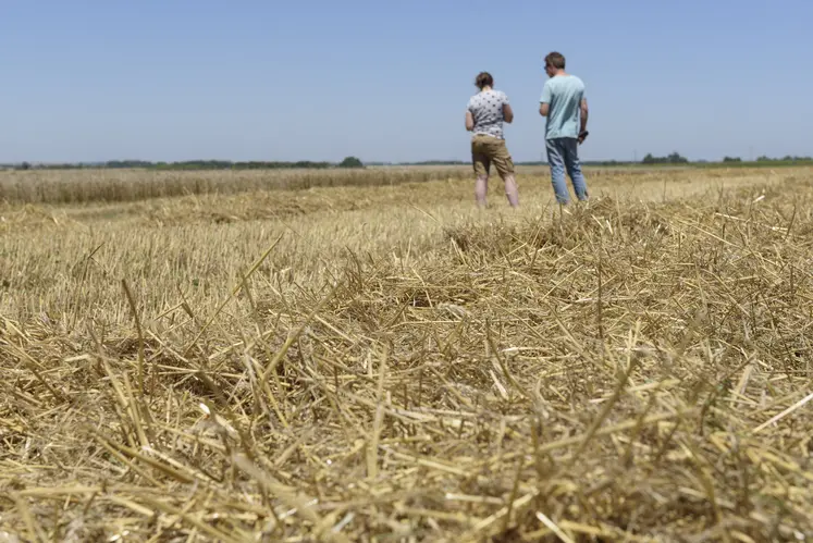   Un agriculteur et sa fille de dos de loin dans un champs moissonné 