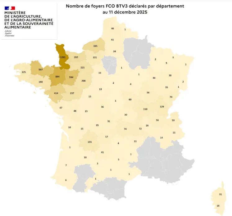 Carte des foyers de FCO3