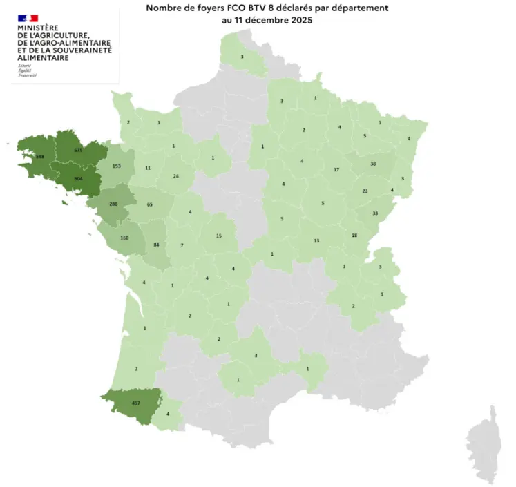 Carte des foyers de FCO8