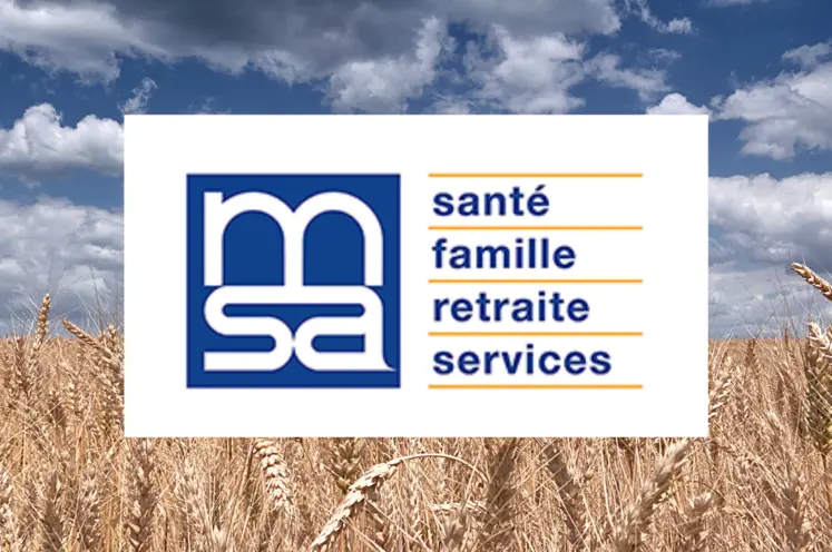 image réalisée avec un logo MSA au milieu d'un champ de blé