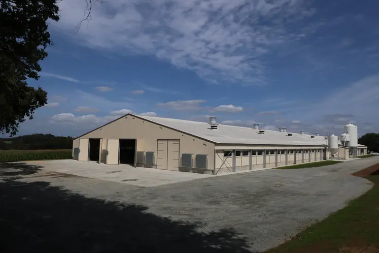 Bâtiment reproducteurs de poules. 