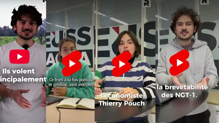 Montage des vignettes des vidéos Youtube réalisés par Réussir.fr