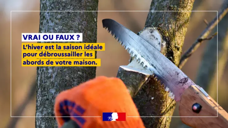 affiche montrant en gros plan des mains sciant une branche