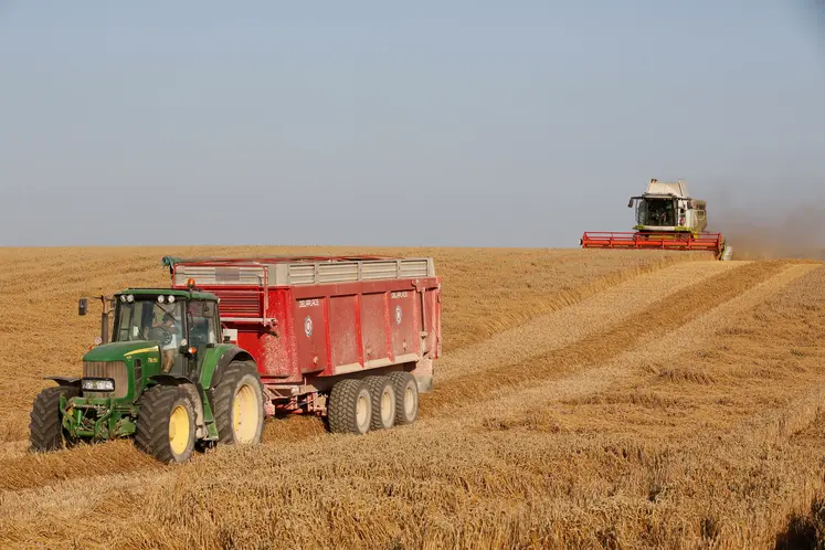 Agriculteur moissonnant une parcelle de blé couchée par les dernières pluie de juillet dans les plaines céréalières de la Marne.