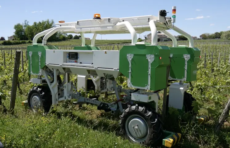 robot dans un champ de vigne