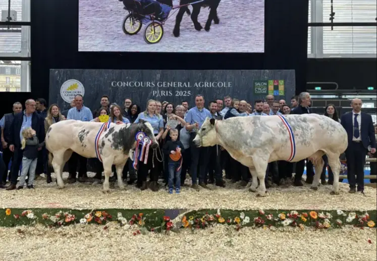 deux vaches lauréates au concours général agricole 2026