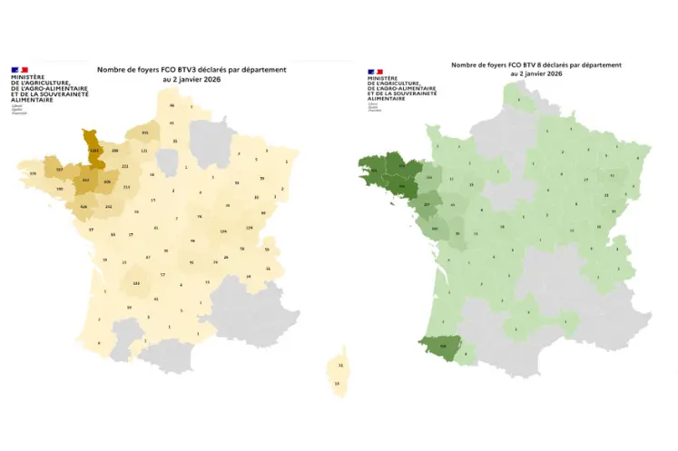 Cartes des foyers de FC03 et FCO8 depuis le 1er juin 2025