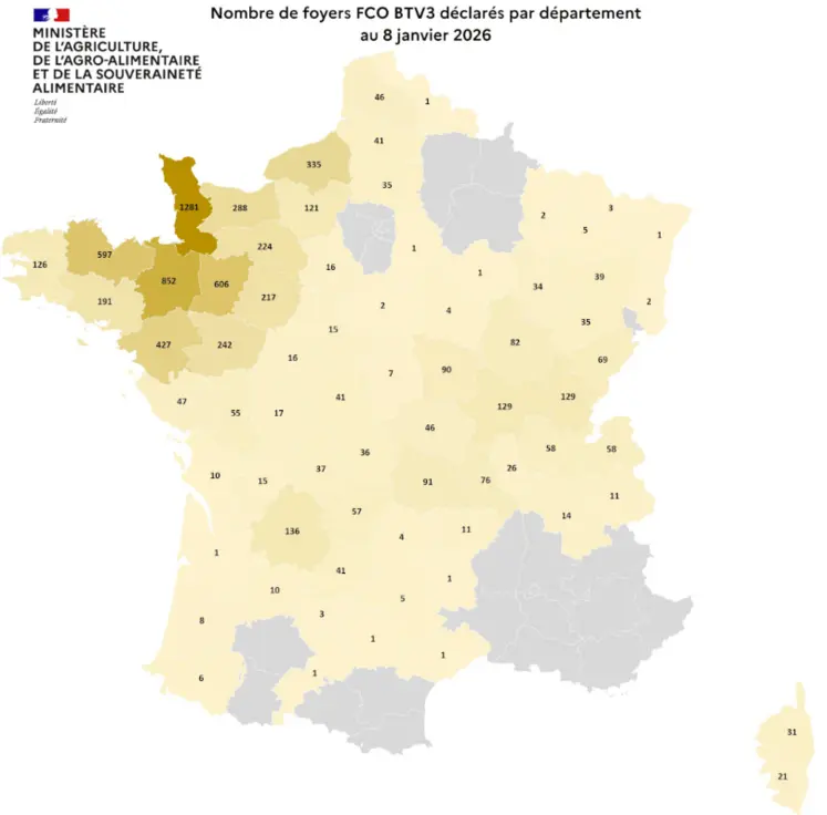 Carte des foyers de la FCO 3