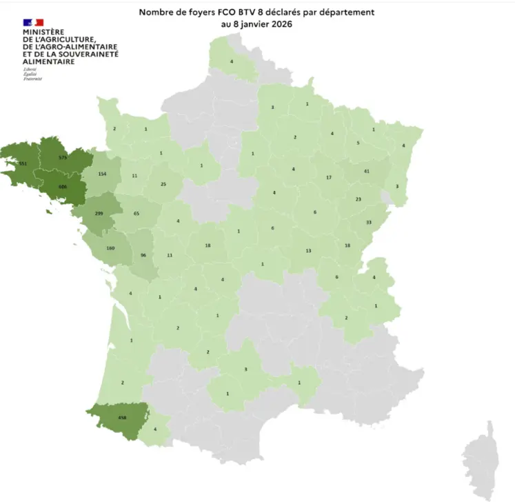 Carte des foyers de la FCO8