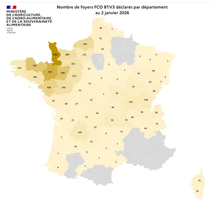 Carte des foyers de FCO3 au 2 janvier 2026