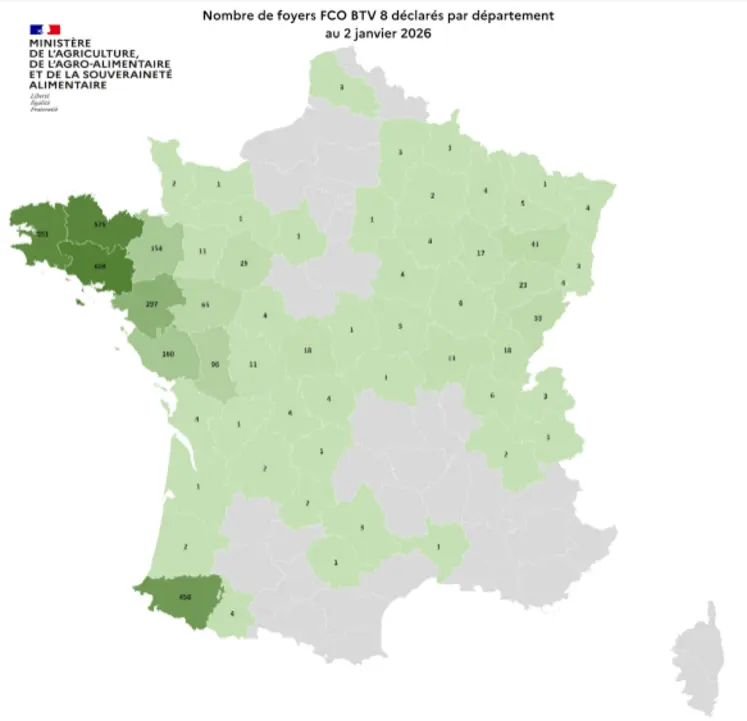 Carte des foyers de FCO8 au 2 janvier 2026