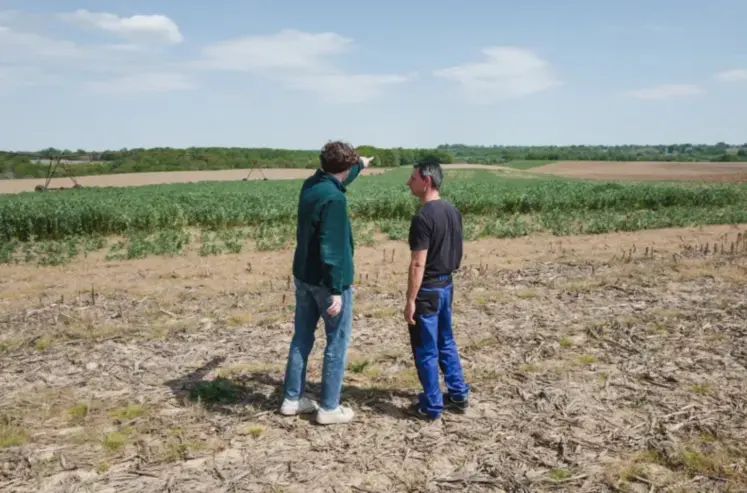 deux hommes de dos discutant dans un champ