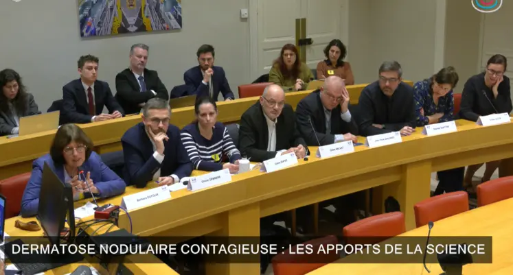   Capture d’écran de l’audition publique sur la DNC organisée par l’Opecst le 15 janvier 2026.  