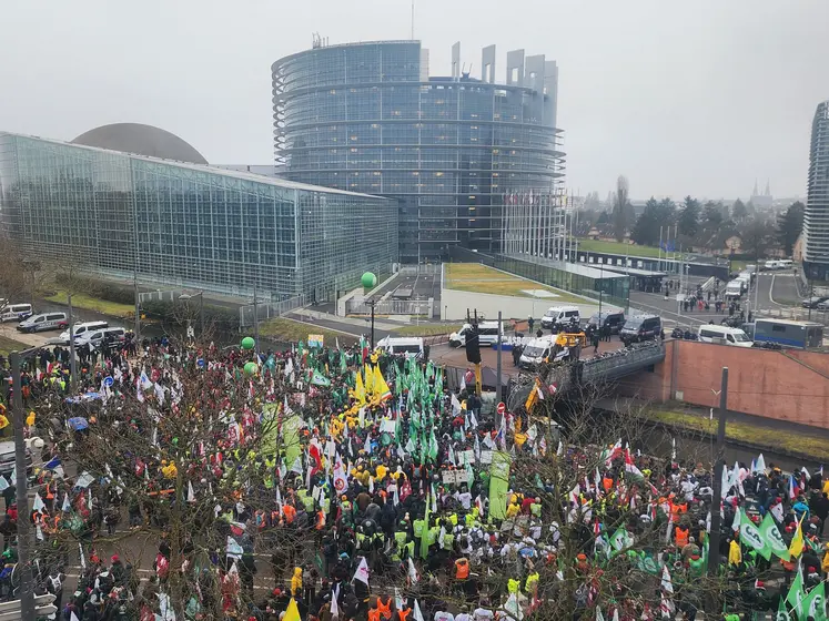 Agriculteurs rassemblés devant le Parlement européen à l’appel de la FNSEA, et des Jeunes agriculteurs et soutenu par le Copa-Cogeca ce 20 janvier.