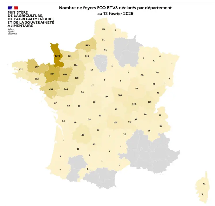 Carte des foyers de la FCO 3