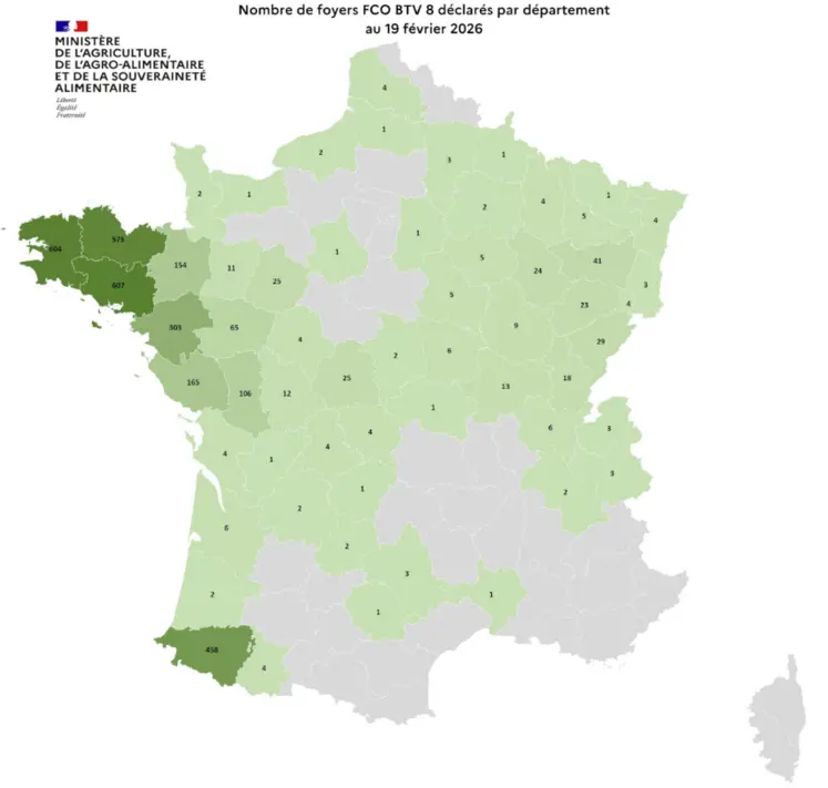 carte des foyers FCO 8