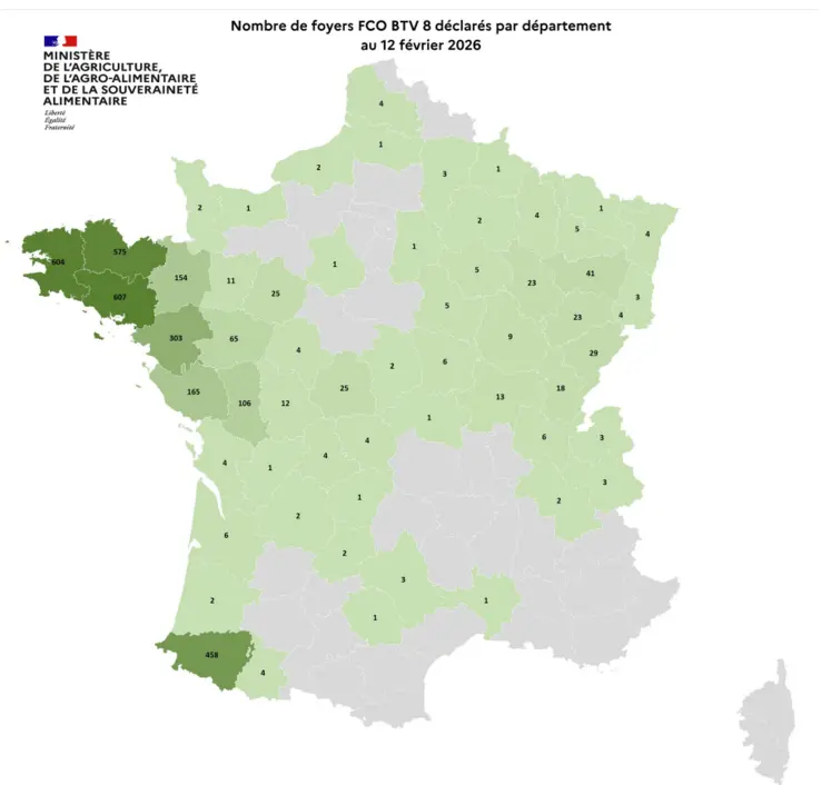 Carte des foyers de la FCO 8