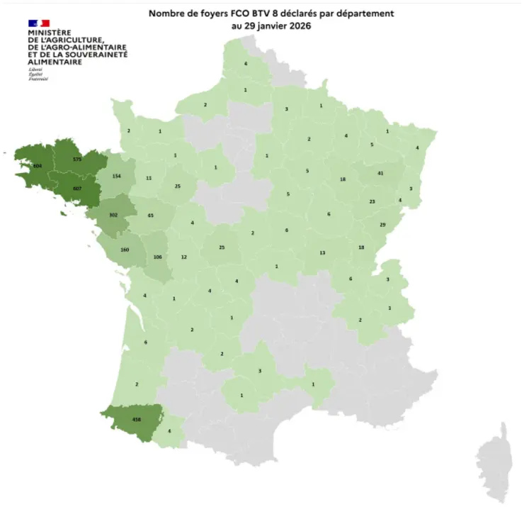 Carte des foyers de la FCO 8