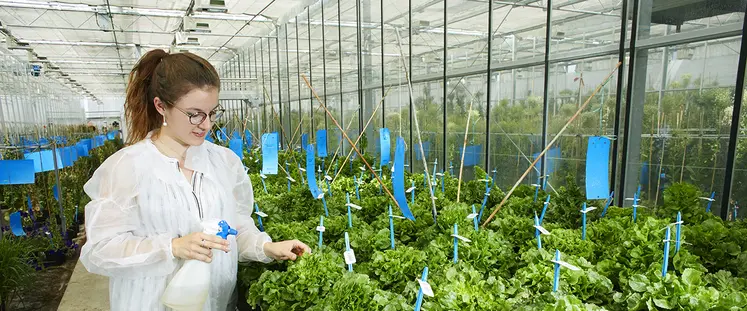 jeune femme s'occupant de plantes dans une serre