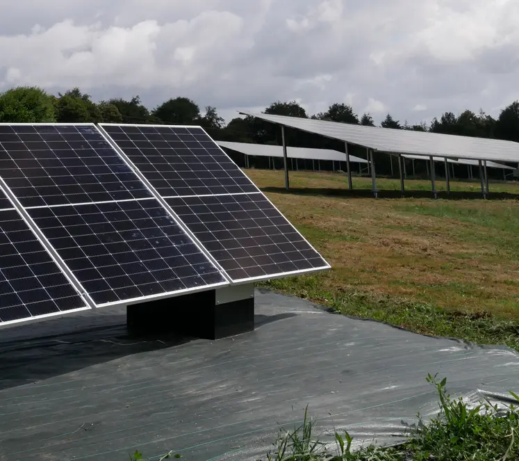   Panneaux photovoltaïques sur un parcours de volailles   