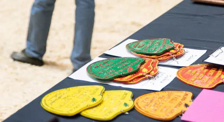 Plaques du concours général agricole posées sur une table