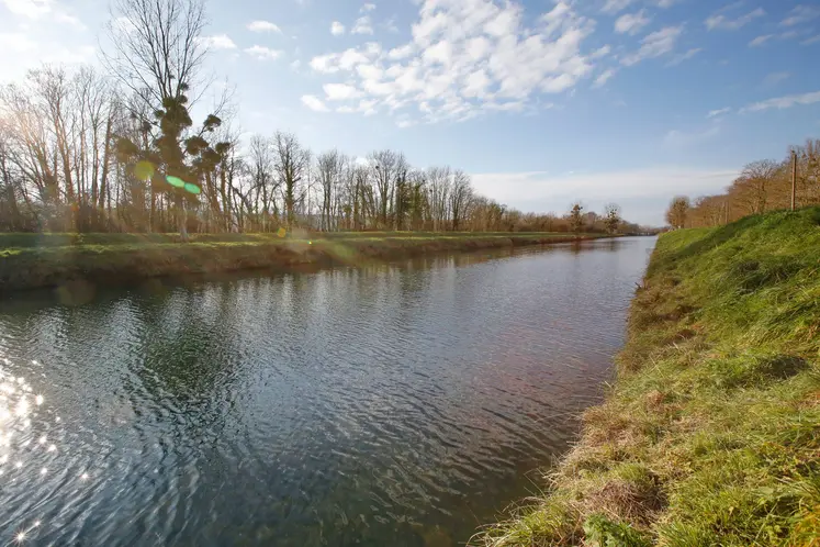 cours d'eau entouré d'arbres et de champs