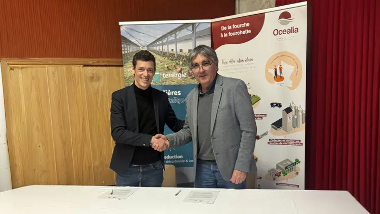 Stéphane Michaut, Directeur Développement Grands projets chez Tenergie, et Mathieu Staub, Directeur Général d’Océalia ont signé un accord pour le développement de projets agrivoltaïques chez les adhérents de la coopérative aquitaine.
