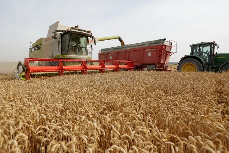 tracteur moissonnant dans un champ de blé