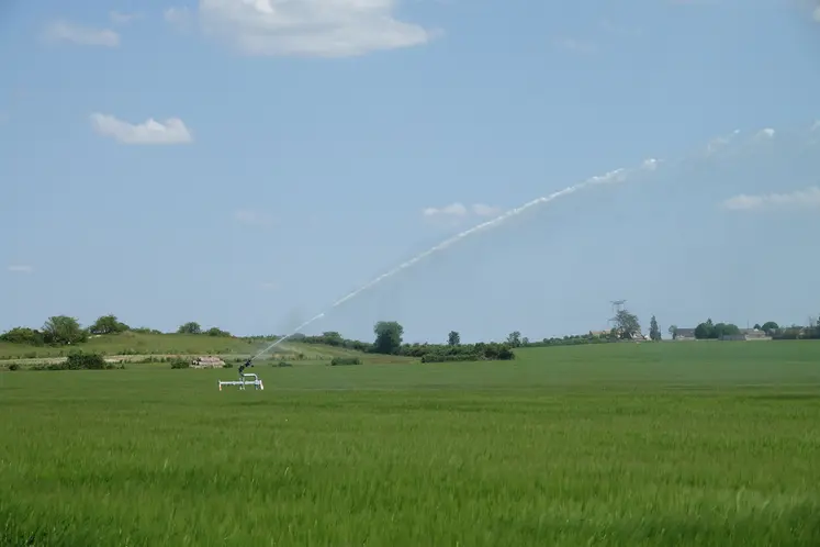 Irrigation dans un champ de céréales