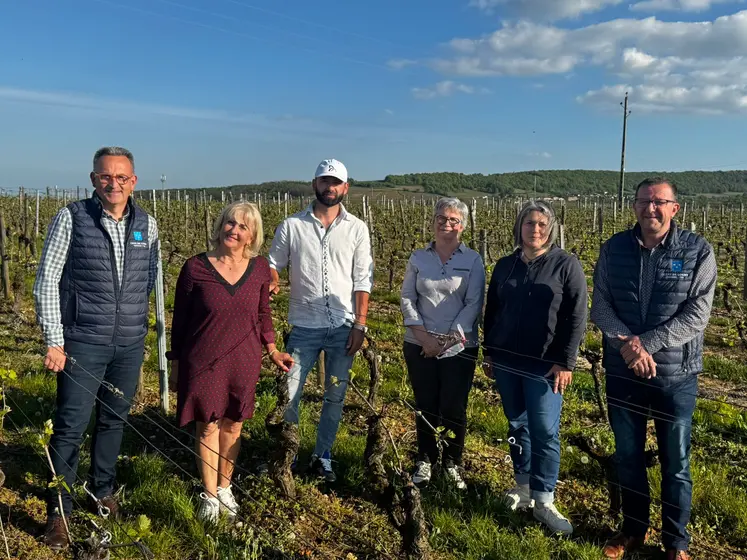 Les futurs associés du Groupement foncier viticole mutuel qui porte le foncier de Tudor Hotea : Emmanuel Bruno (Cave de Lugny), Helena et Tudor Hotea (viticulteurs), Sylvie Marguin (cliente et future associée), Sylvie Thomas (salariée et future associée) et Marc Sangoy (présidente de la Cave de Lugny)