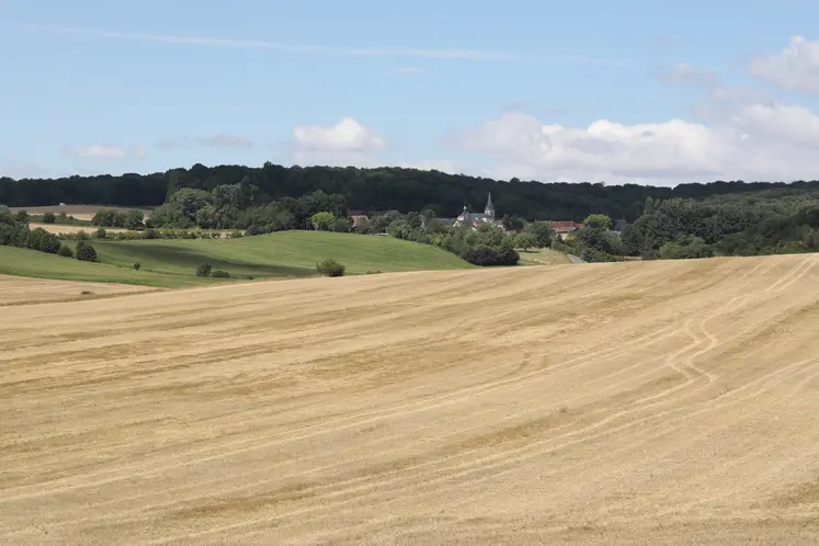  Vue sur des parcelles agricoles et des villages de la campagne marnaise  