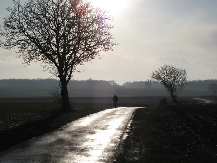 Agriculteur marchant seul sur une route dans la campagne entre les champs