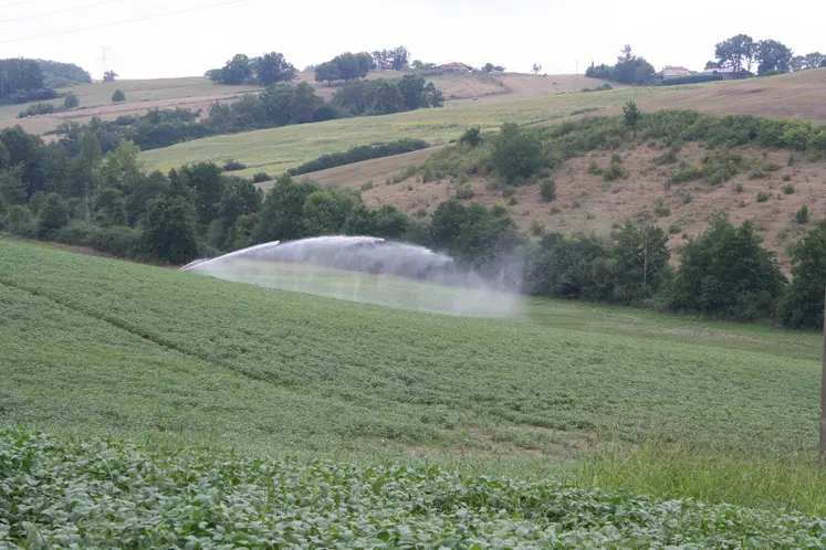 champ irrigué
