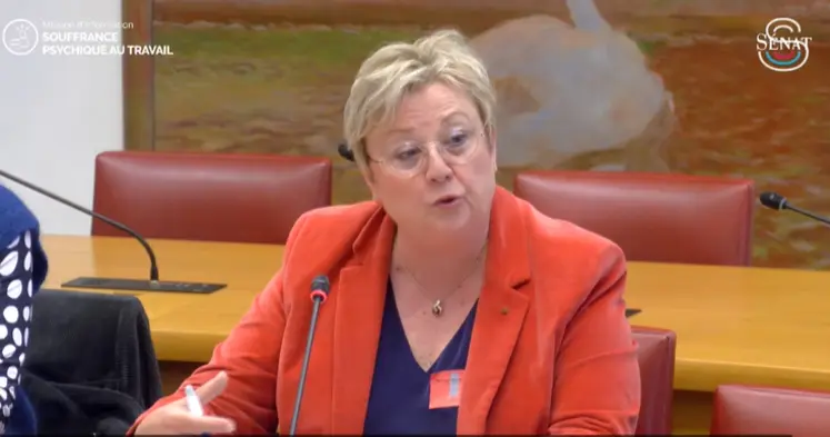   Anne Gautier, vice-présidente de la MSA, auditionnée le 29 avril au Sénat.  