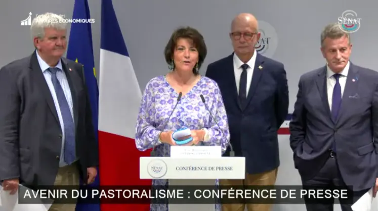 Les rapporteurs Jean-Marc Boyer (Les Républicains), Yves Bleunven (Centriste) et Lucien Stanzione (Socialiste) le 3 juin en conférence de presse au Sénat, présentant leurs recommandations issues de la mission d’information sur l’avenir du pastoralisme. 