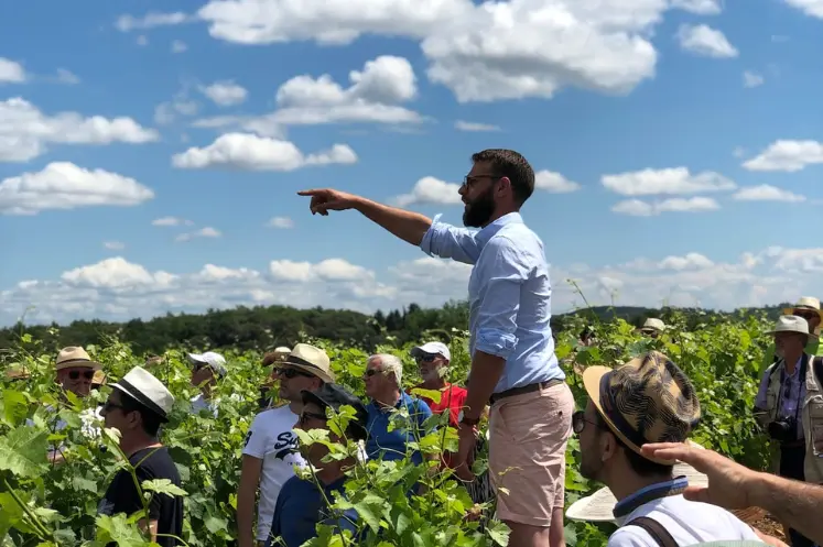 Viticulteur avec un groupe de visiteurs dans des parcelles de vignes