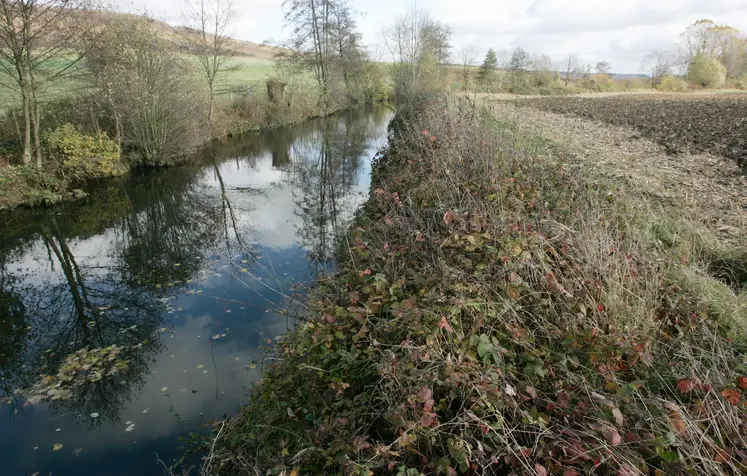 Cours d' eau, rivière et bande herbeuse près d' un champ de culture agricole en automne.