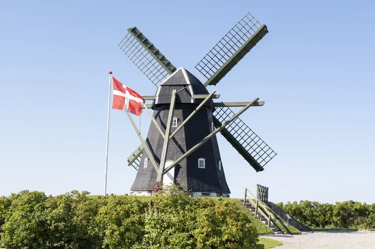 drapeau planté dans un champ devant un moulin