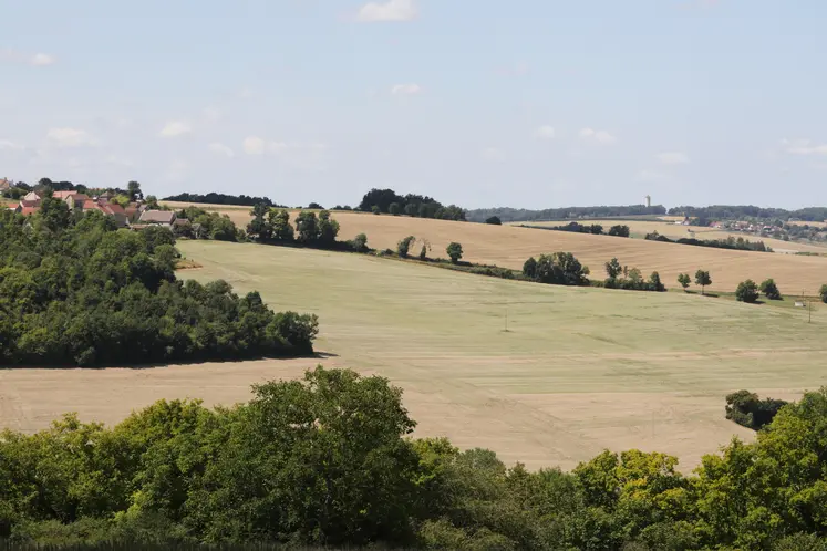 Paysage agricole