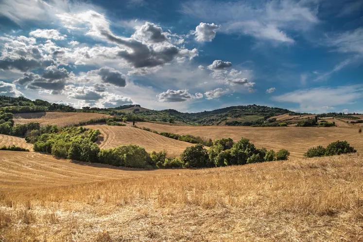 Paysage agricole en période de sécheresse