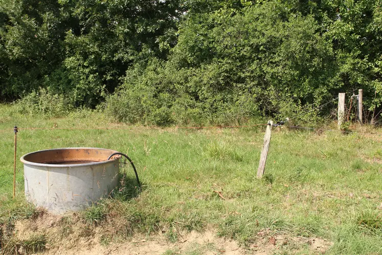 Bac de distribution d'eau dans une pâture pour l'abreuvement des bovins. 