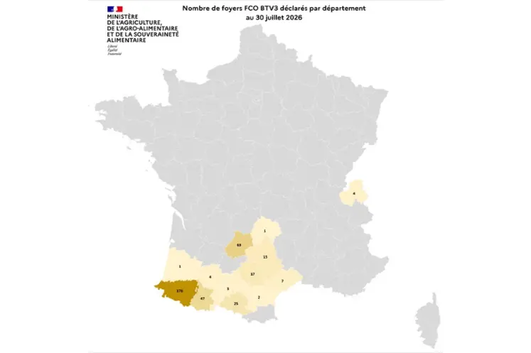 Carte de France des cas de FCO 3 entre début juin et le 30 juillet 2026.  