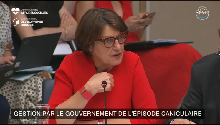 La ministre de l’Agriculture Annie Genevard lors de la Commission de l’aménagement du territoire et du développement durable et des affaires sociales lors de l’échange de vues interministérielles sur la gestion de crise par le Gouvernement de l’épisode caniculaire, le mardi 7 juillet 2026. 