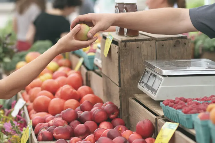 étal de fruits sur un marché