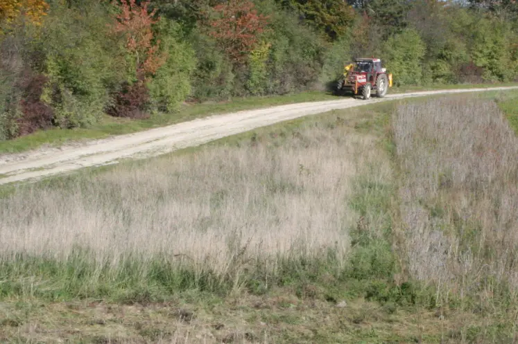 Jachère en bord de champ avec un tracteur en arrière plan