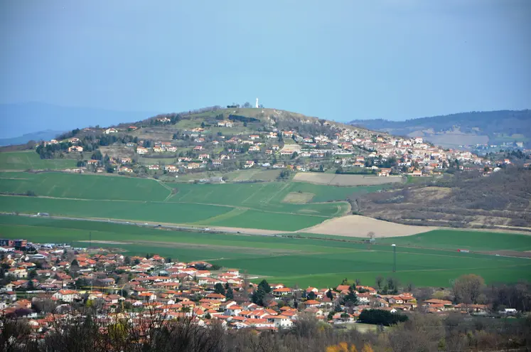   Paysage agricole avec terres et vignes dans le Puy-de-Dôme  