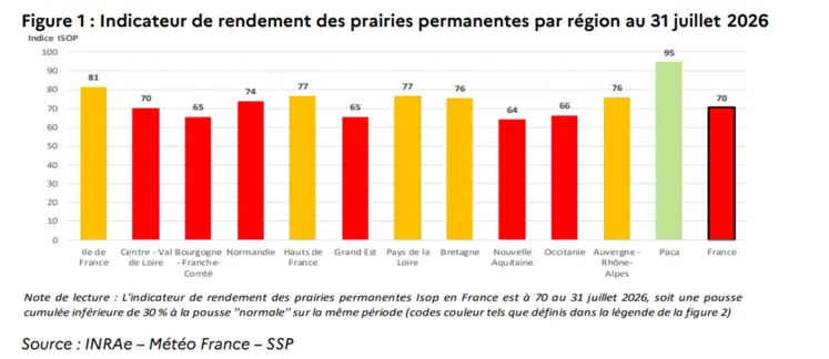 Evolution du rendement des prairies par région au 31 juillet