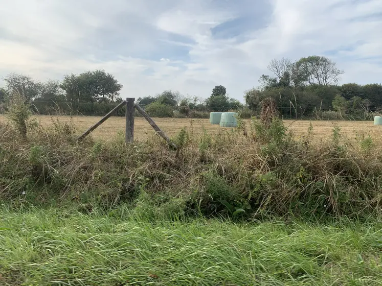 Parcelle agricole touchée par la sécheresse