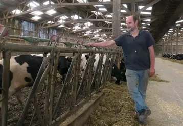 Vincent Verschuere, éleveur bovin dans l’Oise